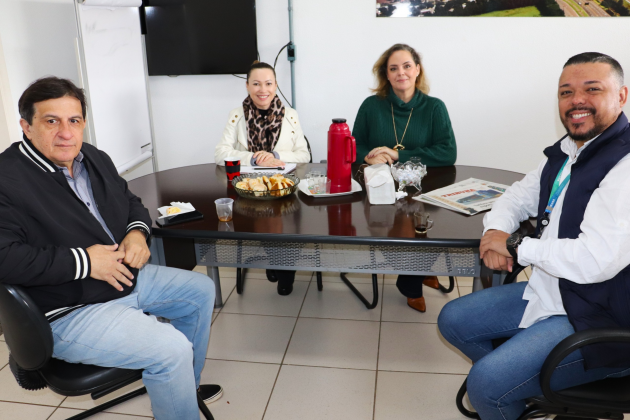 Reunião Semude Inovação